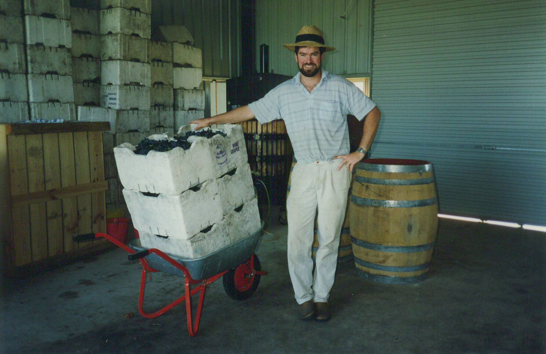Tim Kirk standing with Shiraz Viognier grapes in 1994