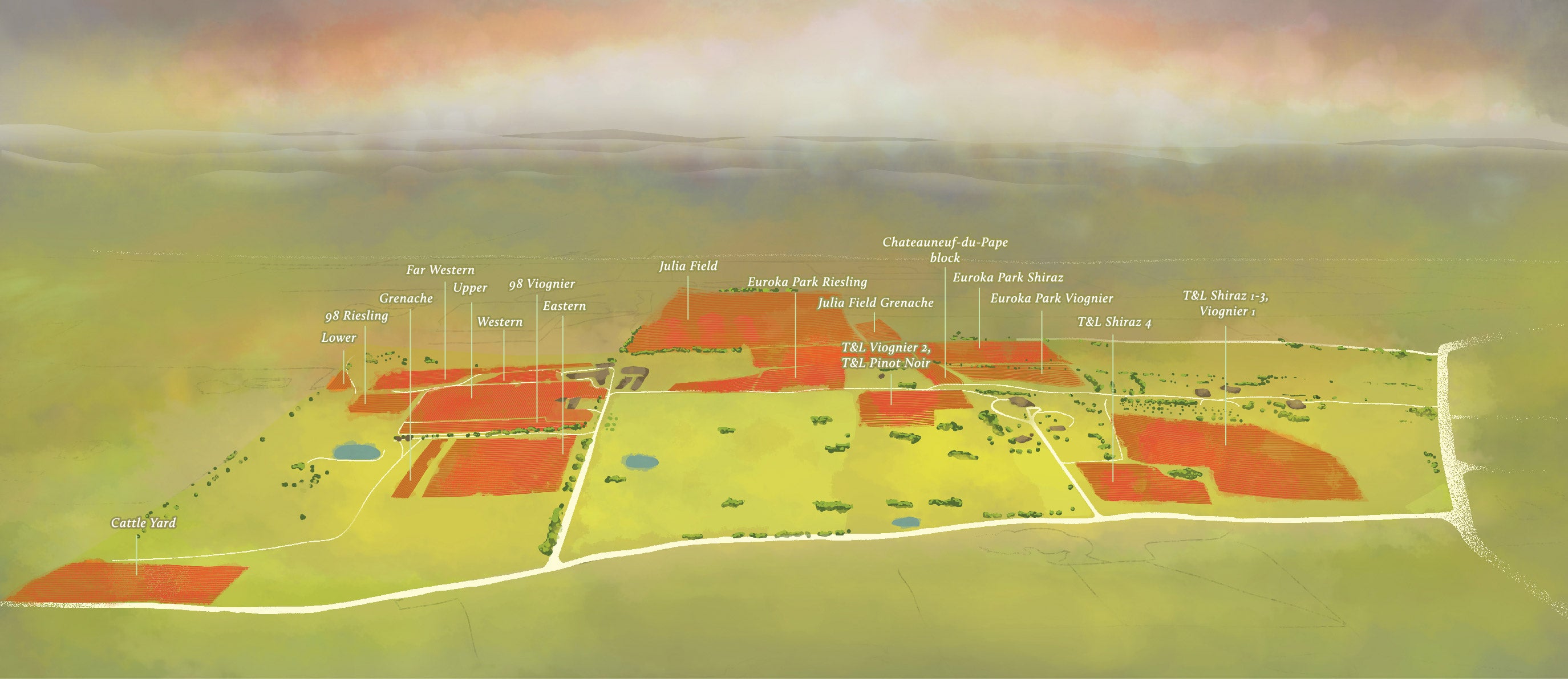 Illustrated map of Clonakilla vineyards